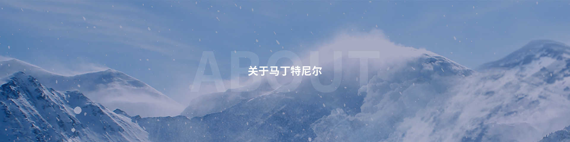 榮譽(yù)資質(zhì)